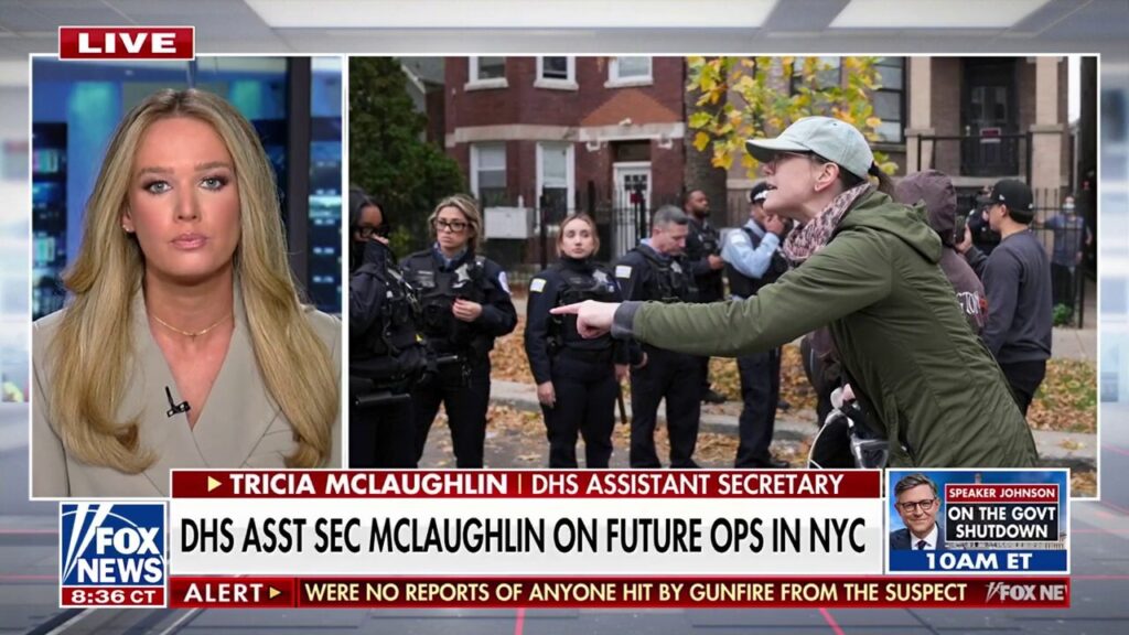 Tricia McLaughlin sounds alarm on ‘unprecedented’ rise in vehicle rammings targeting ICE agents