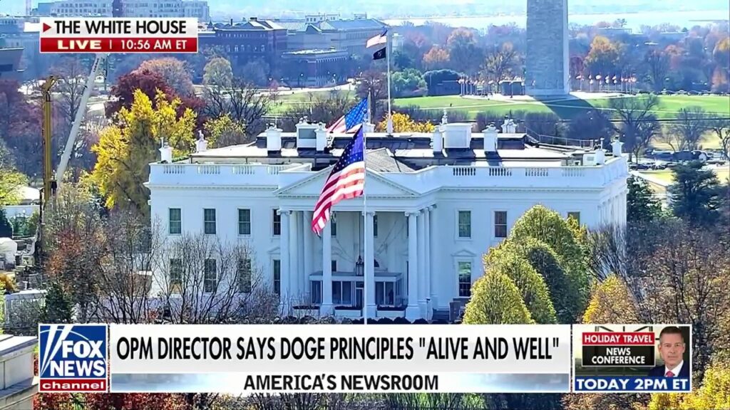 Trump admin denies reports of DOGE's demise: 'Principles of DOGE remain alive and well'