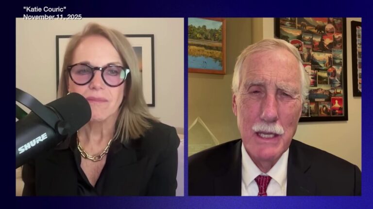 Senator who supported deal to end shutdown claims progressive critics have been 'spun up' to support it