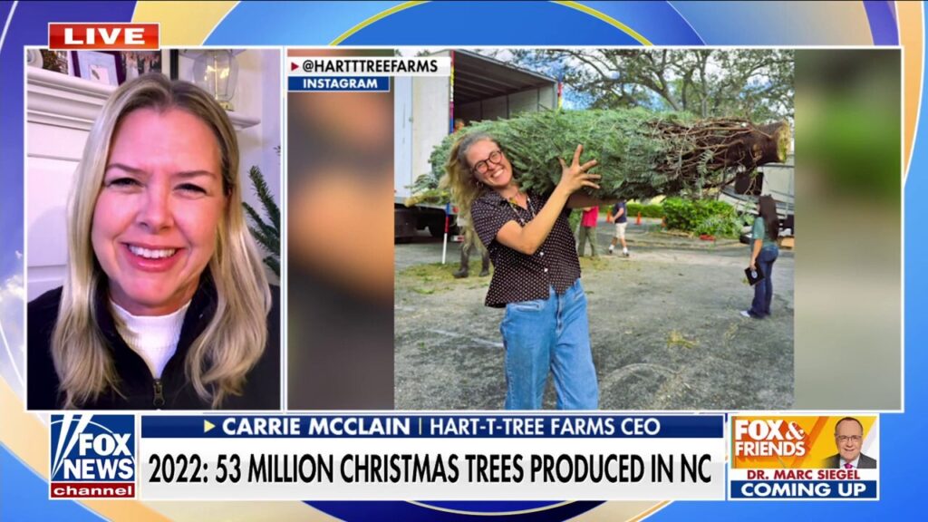 NC tree farm rebounds after Helene: ‘We could all use a good Christmas’