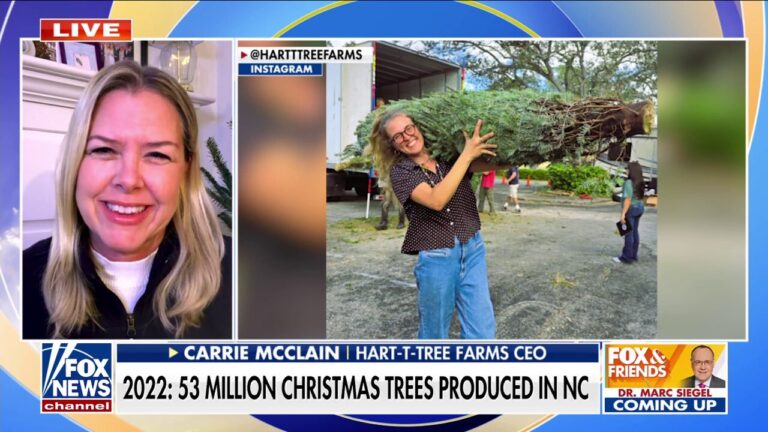 NC tree farm rebounds after Helene: ‘We could all use a good Christmas’