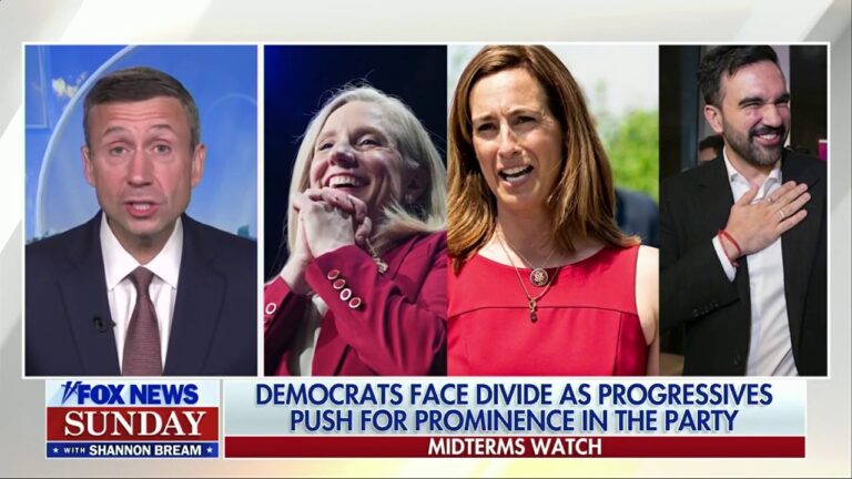 DNC chair reflects on 'historic' election victories: 'Growing our coalition'