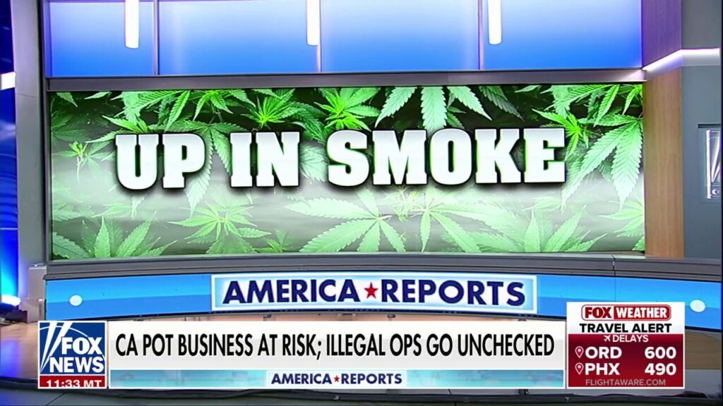 LA cannabis shop owners refuse to pay taxes until city cracks down on illegal sellers