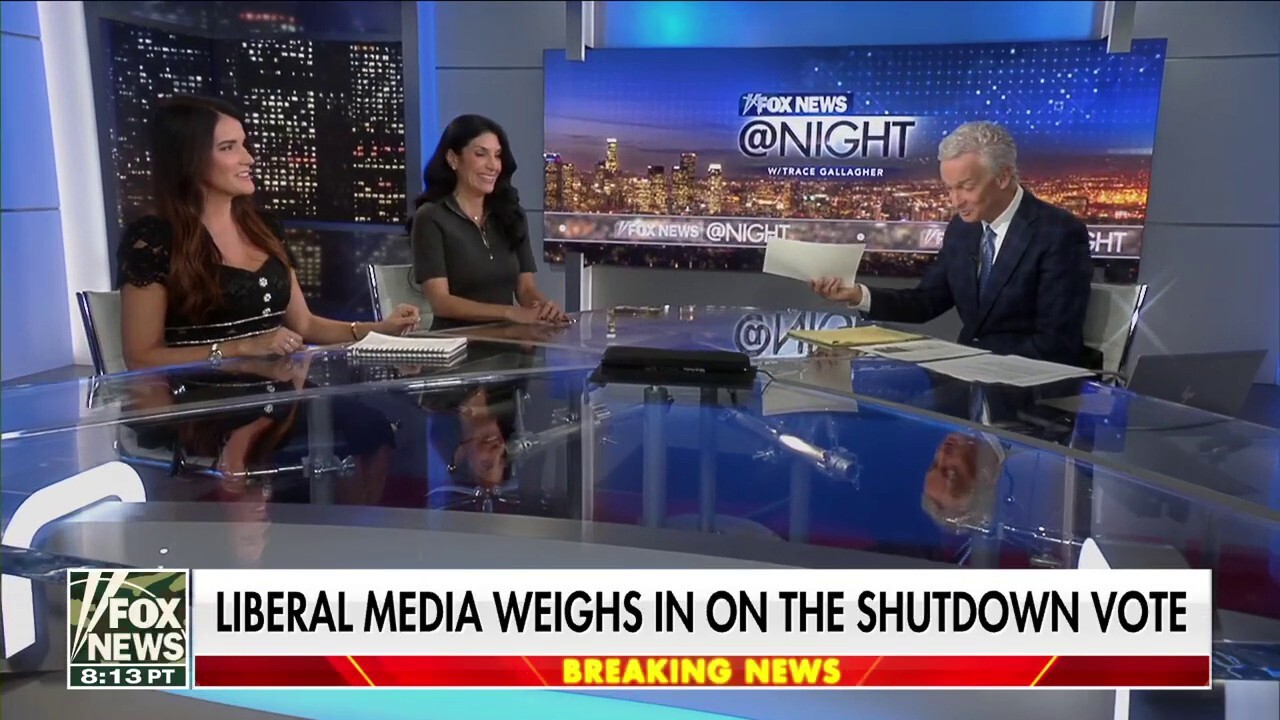 Shutdown leads to debates over Chuck Schumer’s role in the Democratic Party