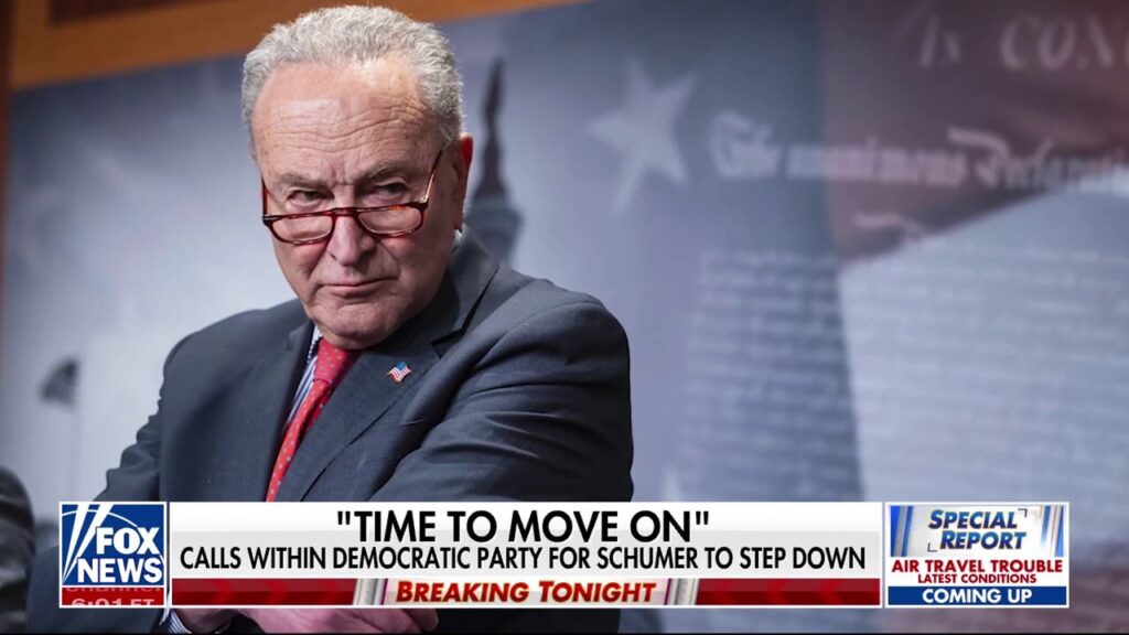 Democratic Party members call for Schumer to step down after healthcare fight