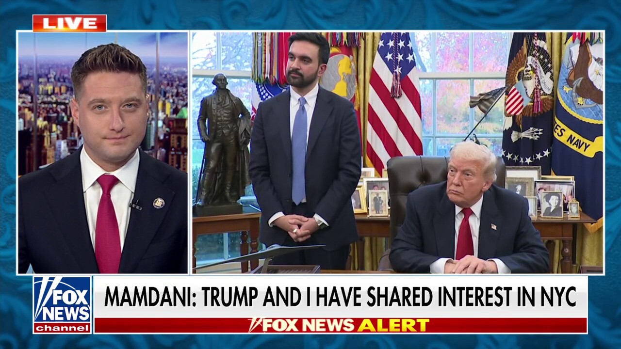 Must be 'on guard' if Mamdani's policies are as 'problematic as they have been': New York State assemblyman