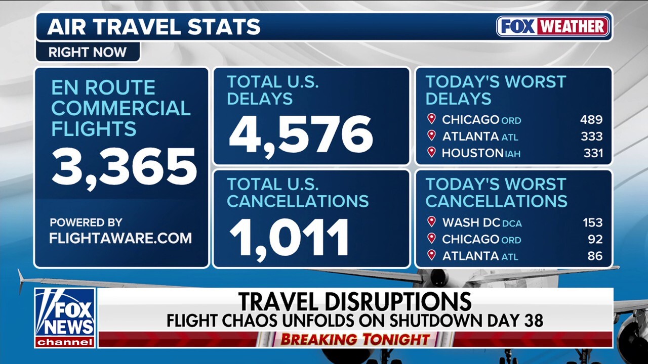 Travelers face flight delays as government shutdown reaches day 38