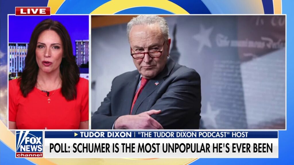 Schumer's popularity hits record lows amid growing resignation calls