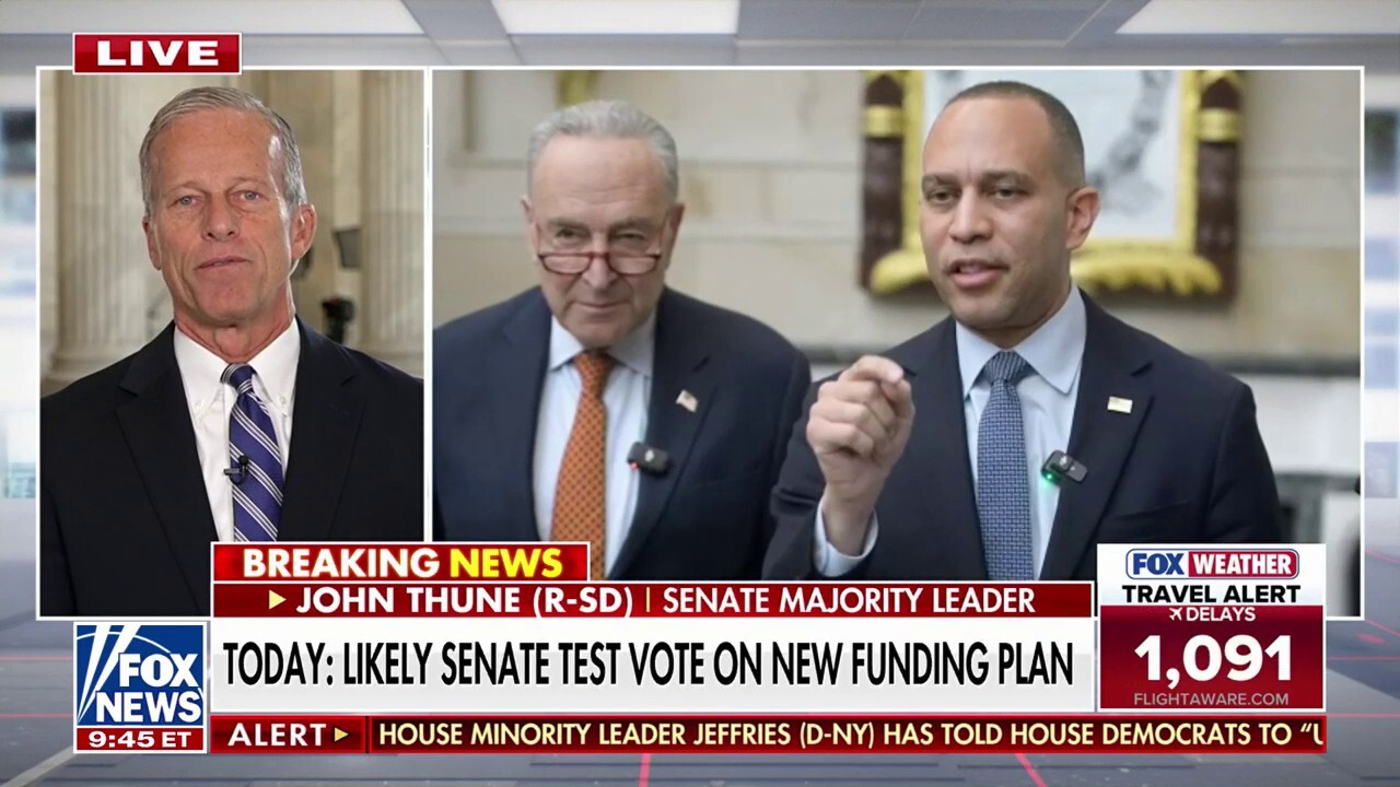 Sen. Thune: Far-left is bullying 'reasonable' Democrats out of negotiating on shutdown