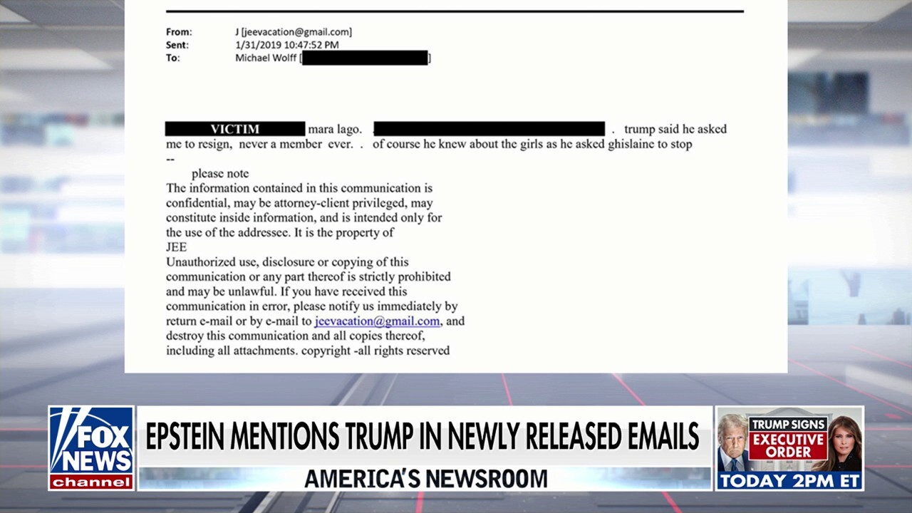 White House accuses Dems of 'selectively' releasing Epstein documents