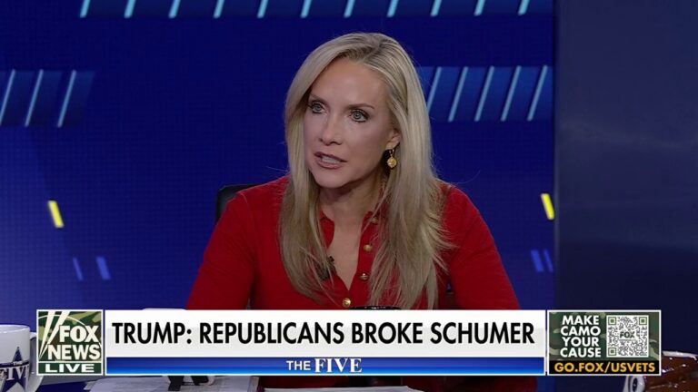 Dana Perino: A lot of people in the Dem Party are starting to see this about Chuck Schumer
