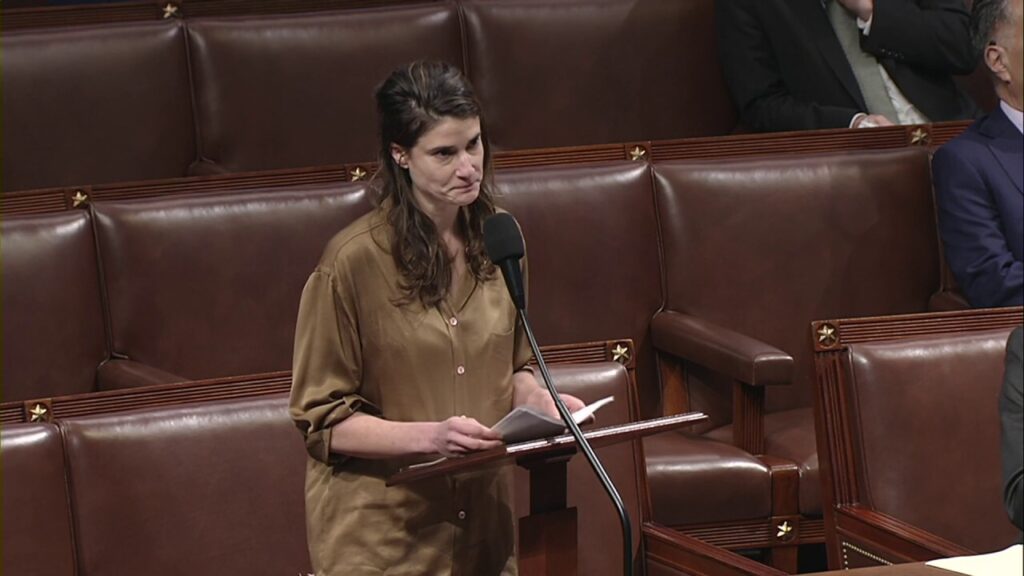 House Democrat accuses colleague of undermining 'free and fair election'