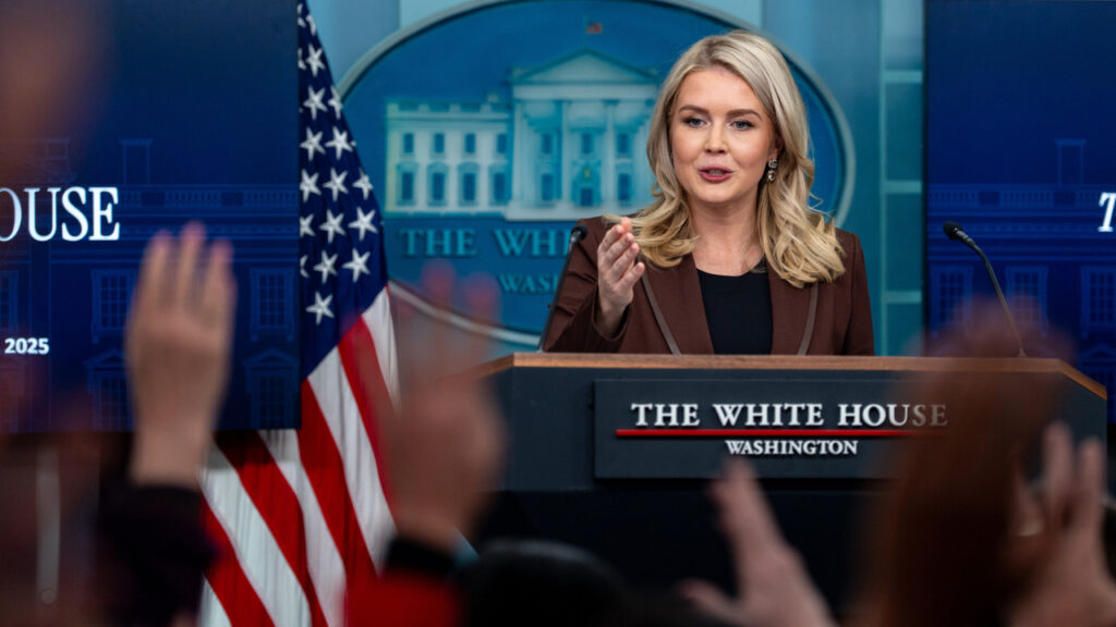Karoline Leavitt calls on Republicans to 'get off their butts' and abolish filibuster
