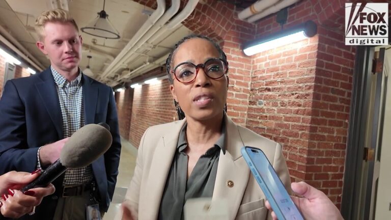 Dems attempt to explain why stock market booming despite Trump tariffs