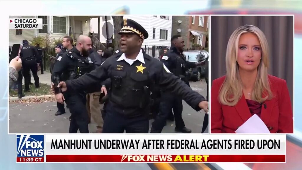 Kayleigh McEnany calls out politicians for ‘stoking violence and anger’ toward ICE agents