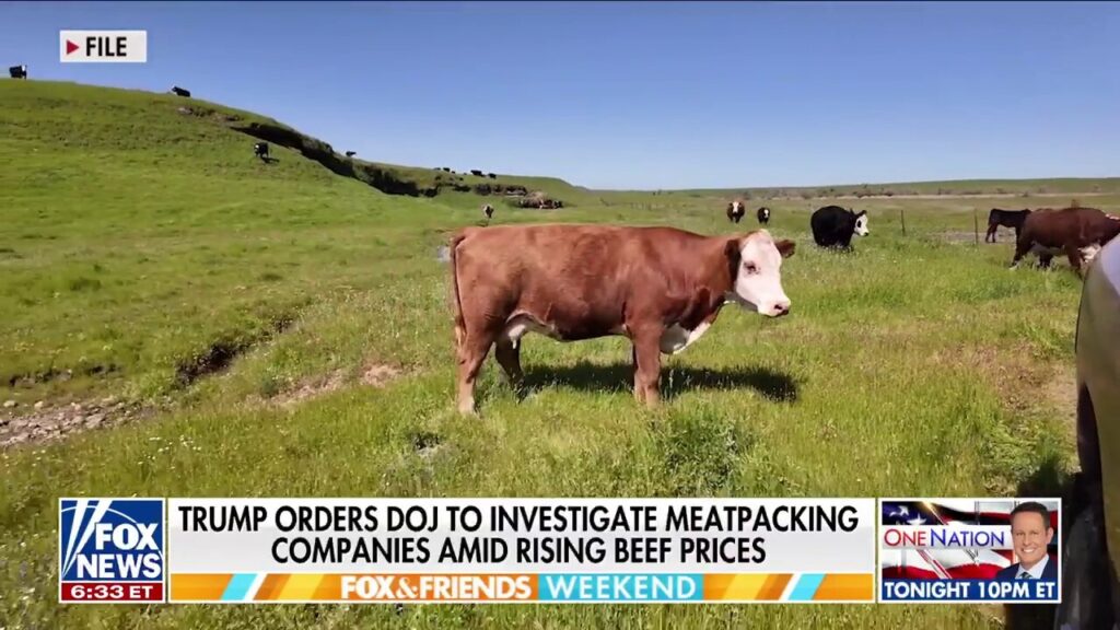 Trump orders DOJ to probe soaring beef prices ‘jeopardizing’ US food supply