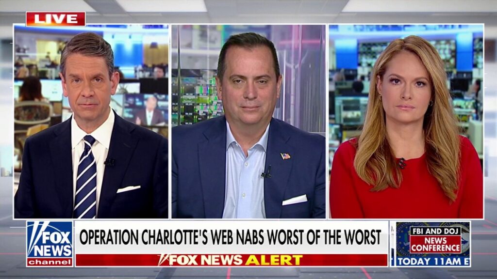 Former ICE chief touts 'success' of Trump's immigration efforts: 'Community will benefit'