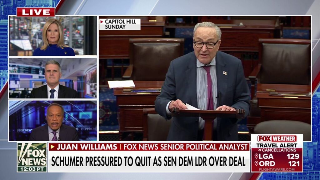 Democrats want a leader who is capable of ‘fighting’ Trump, says Juan Williams