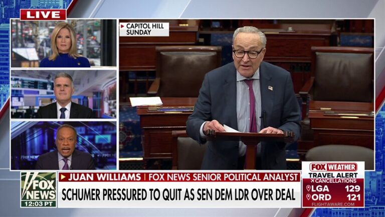 Democrats want a leader who is capable of ‘fighting’ Trump, says Juan Williams