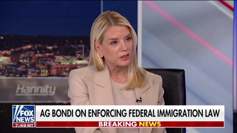 Pam Bondi talks federal immigration law and political violence in interview