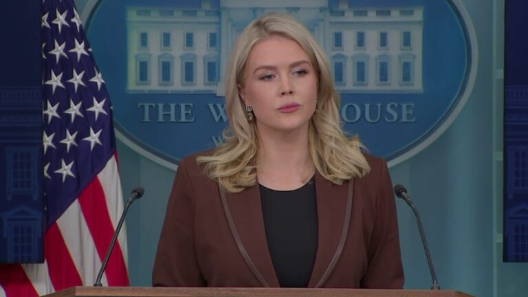 White House dismisses JFK grandson Jack Schlossberg's comments about HHS Secretary Kennedy