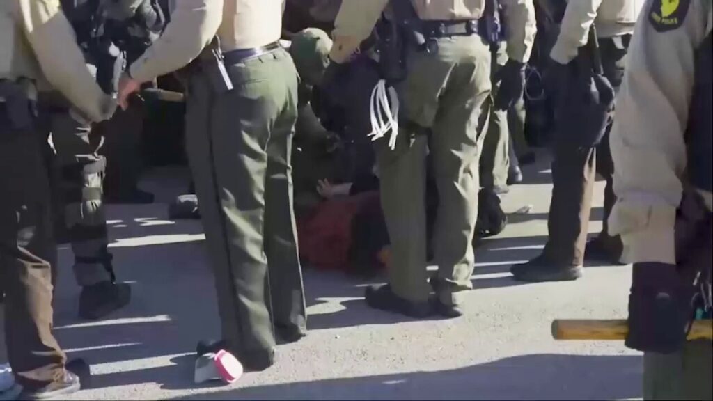 Anti-immigration protesters clash with law enforcement in Chicago; multiple arrests made