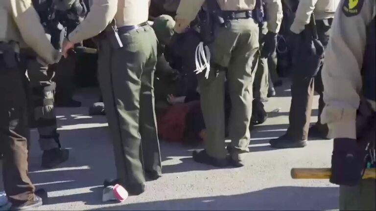 Anti-immigration protesters clash with law enforcement in Chicago; multiple arrests made
