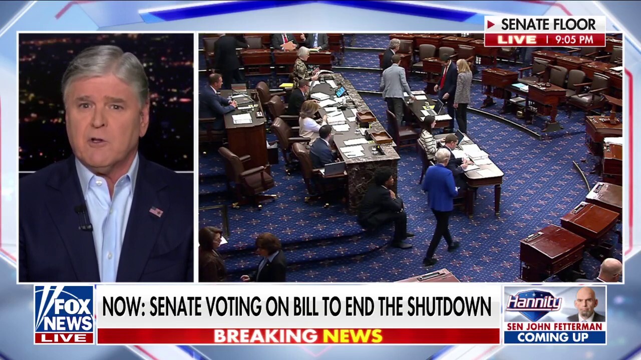 Hannity: This was the 'single most pointless shutdown' in history