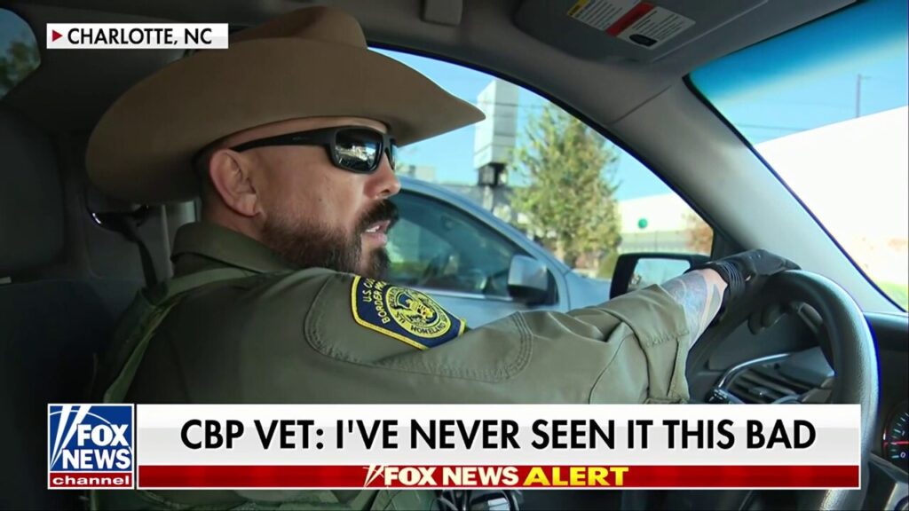 'I've never seen the level of craziness and violence': Customs and Border Patrol vet on agitators