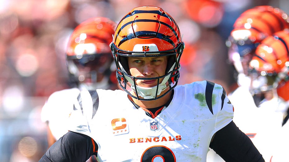Bengals team flight delayed more than 5 hours ahead of AFC North battle vs Ravens