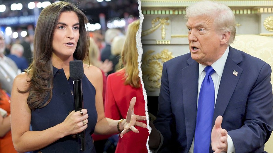 CNN anchor pushes back on liberal critics: 'My job is not to take down Trump'