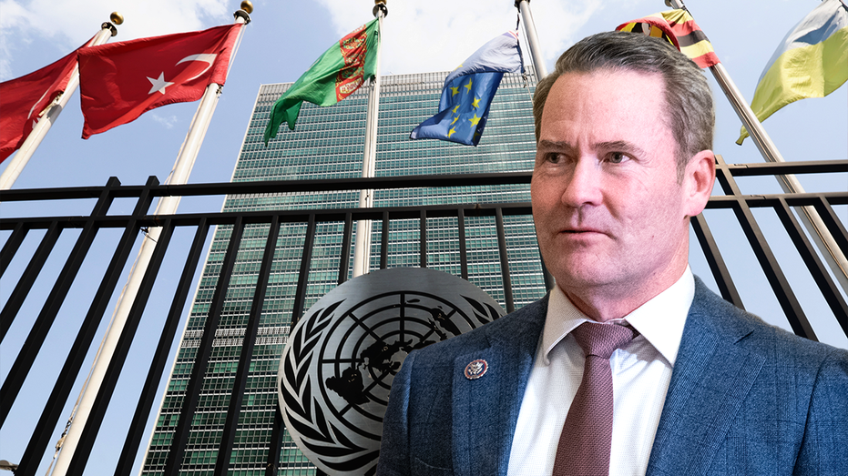 UN Ambassador Waltz reveals Trump's Middle East peace plan is ‘the only way forward’