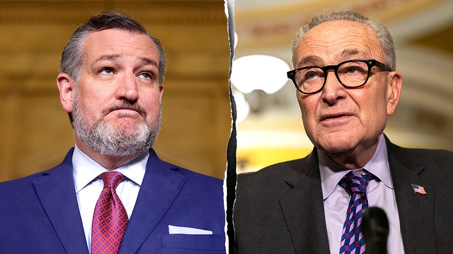Cruz predicts Democrats will keep shutdown going to rally 'radicals' until after Election Day
