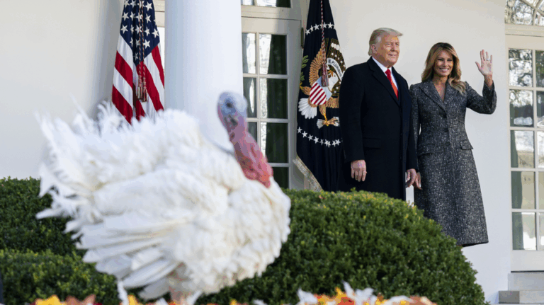 Shifting Thanksgiving traditions reflect broader political, economic and cultural divides