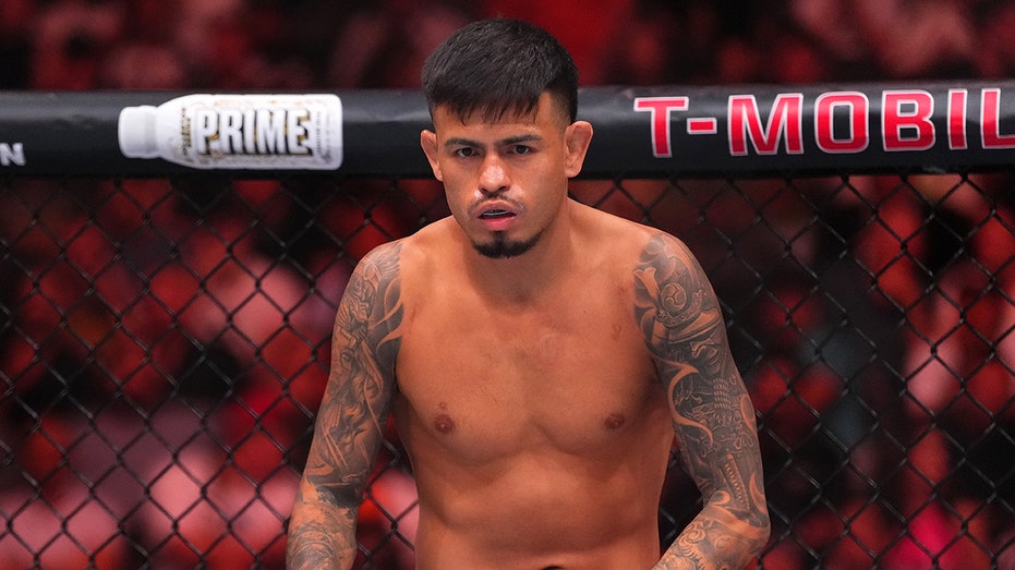 UFC fighter rips idea of fighting at White House in explicit rant: 'F--- all these politicians'