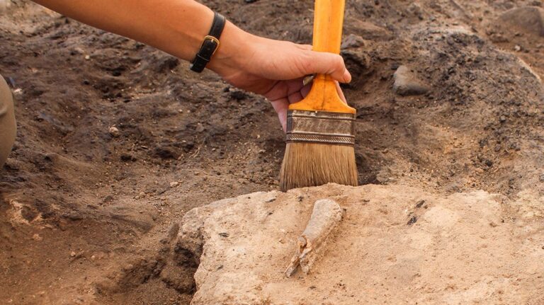 Ancient plague mystery cracked after DNA found in 4,000-year-old animal remains