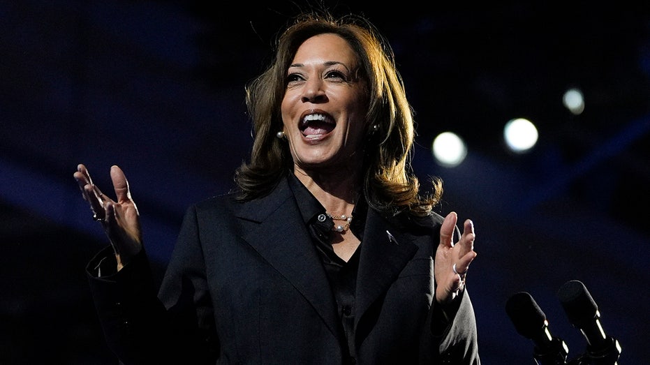 Harris thanks supporters for 'standing up for democracy' at annual DNC meeting