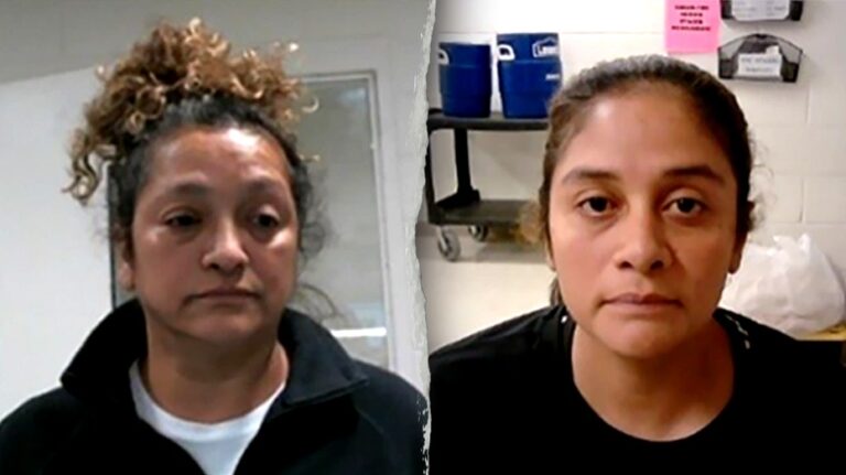 ICE arrests two illegal immigrants convicted of 'heinous' crimes against children in New Jersey and Texas