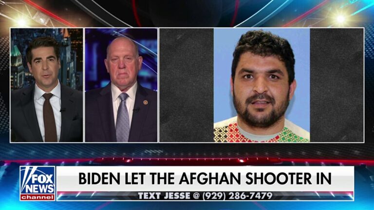 Trump administration is ‘committed’ to finding every illegal immigrant who was not properly vetted under Biden