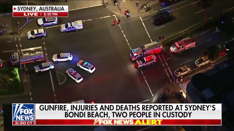 Mass shooting during Hanukkah event at Australia's Bondi Beach, at least 10 dead