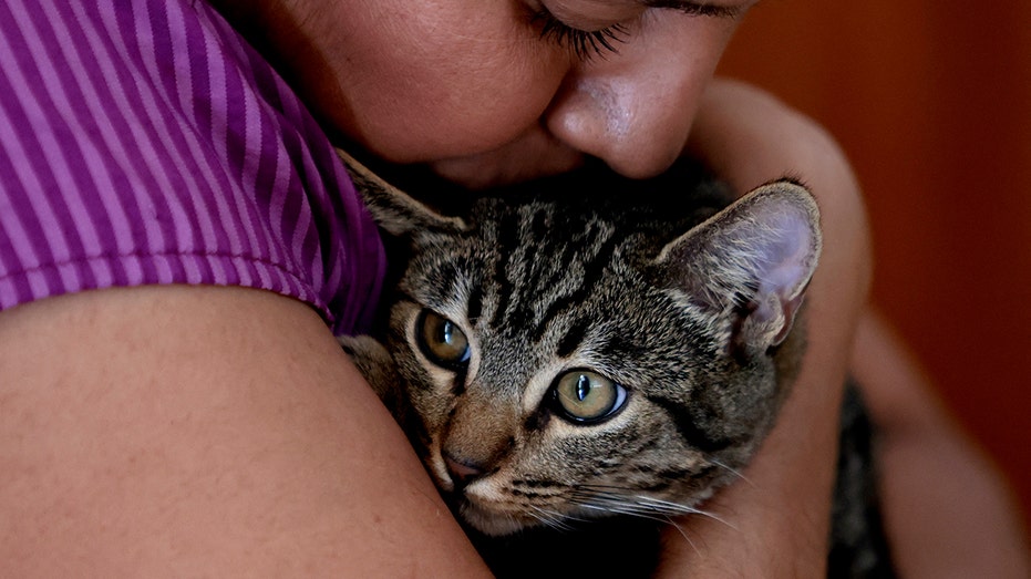 AI photo match reunites Texas woman with lost cat after 103 days
