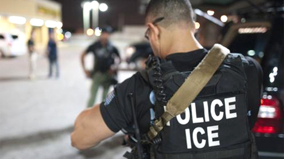 DAVID MARCUS: Impeding federal law enforcement is not protest, it's just crime