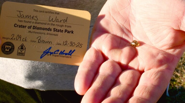 Man stumbles onto rare diamond treasure during Arkansas park trip with family: 'Knew it was different'