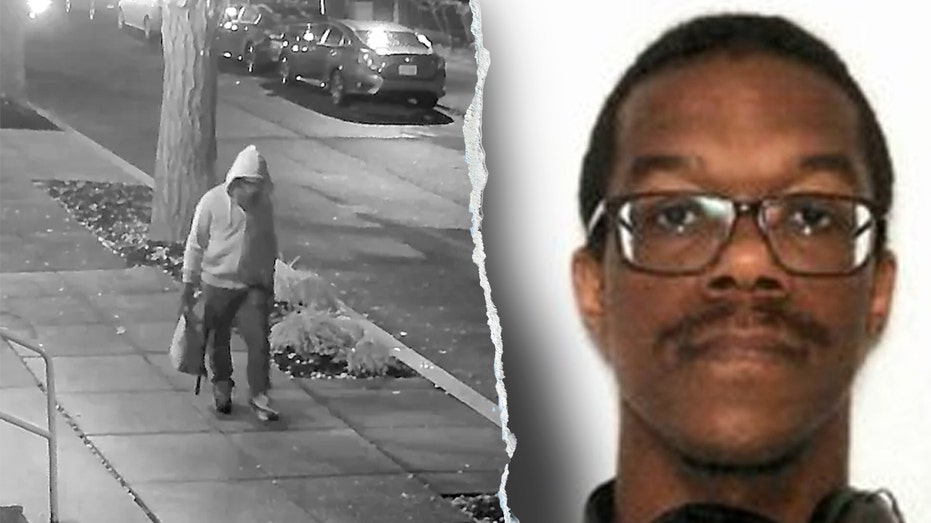 DC pipe bomb suspect pleads not guilty to planting devices at DNC and RNC headquarters