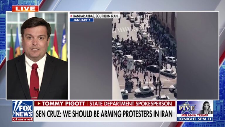 Iranian regime has wasted their wealth on 'maligned activities,' State Department official says