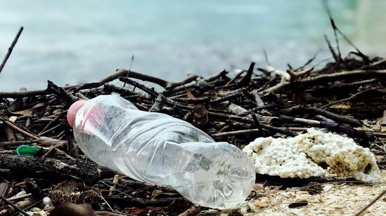 Plastic bottles could power your devices one day