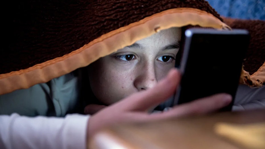 French lawmakers declare 'battle for free minds' after approving social media ban for children under 15