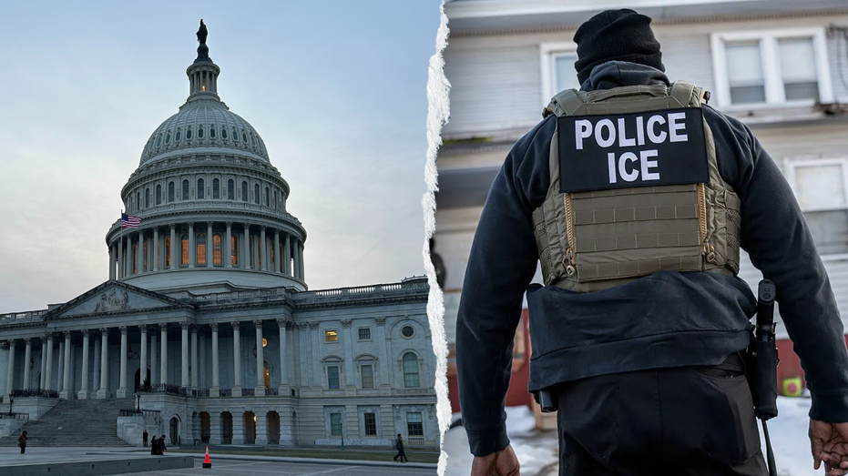 PETER NAVARRO: If we defund ICE, the body count of American lives would be too high