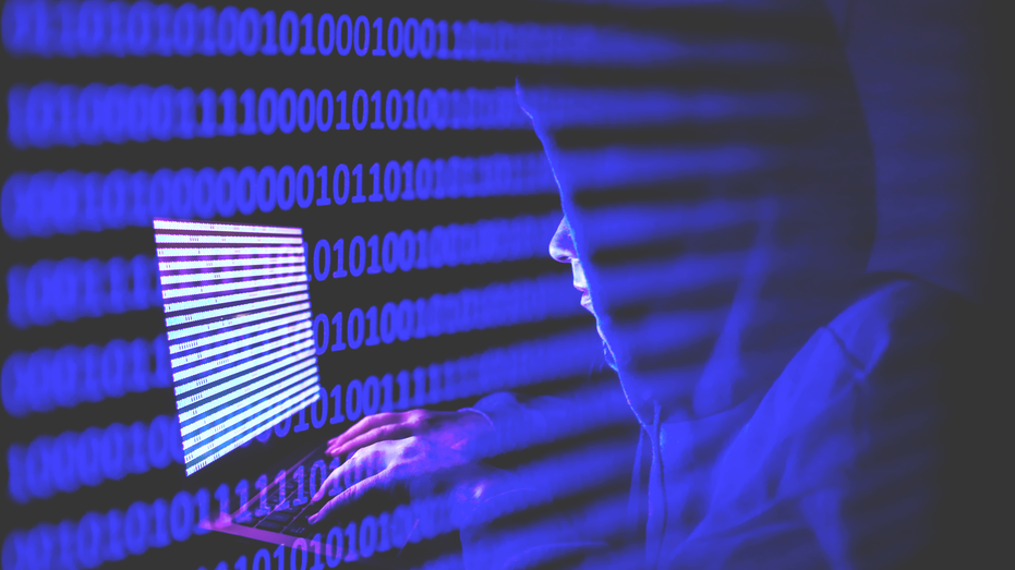 Nancy Guthrie case: Why criminals are turning to cryptocurrency for ransoms