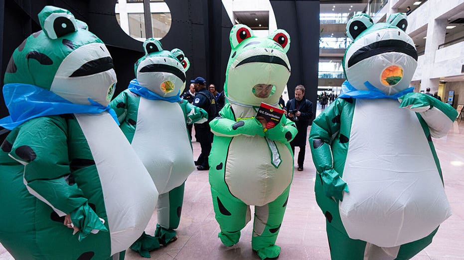 DAVID MARCUS: Delusional Dems ' dancing pet frogs are Antifa thugs